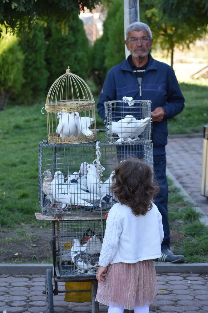 Photograph by Эдуард Оганесян