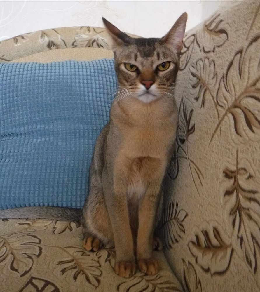 Photograph by Елена Сухорученкова