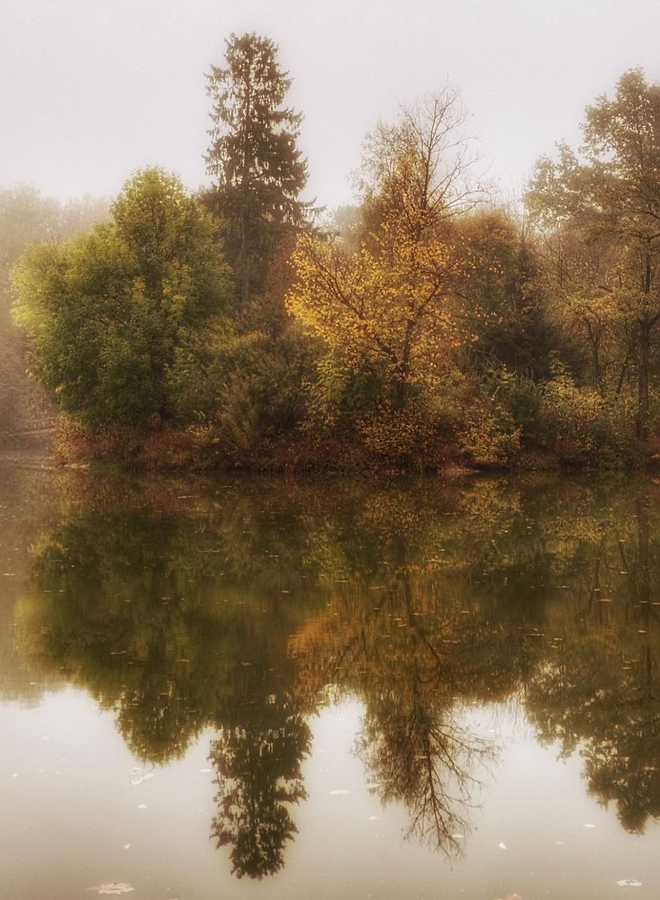 Фотография автора Татьяна Егорова