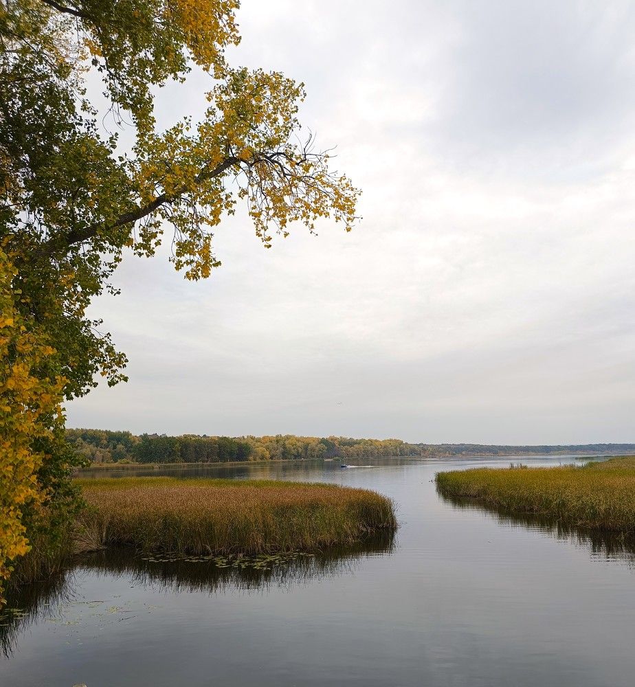 Фотография автора Елена Александрова