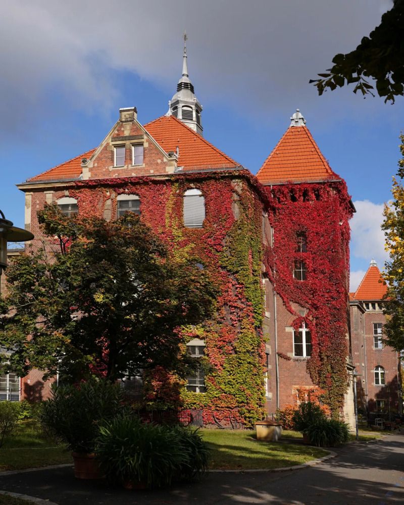 Краски осени