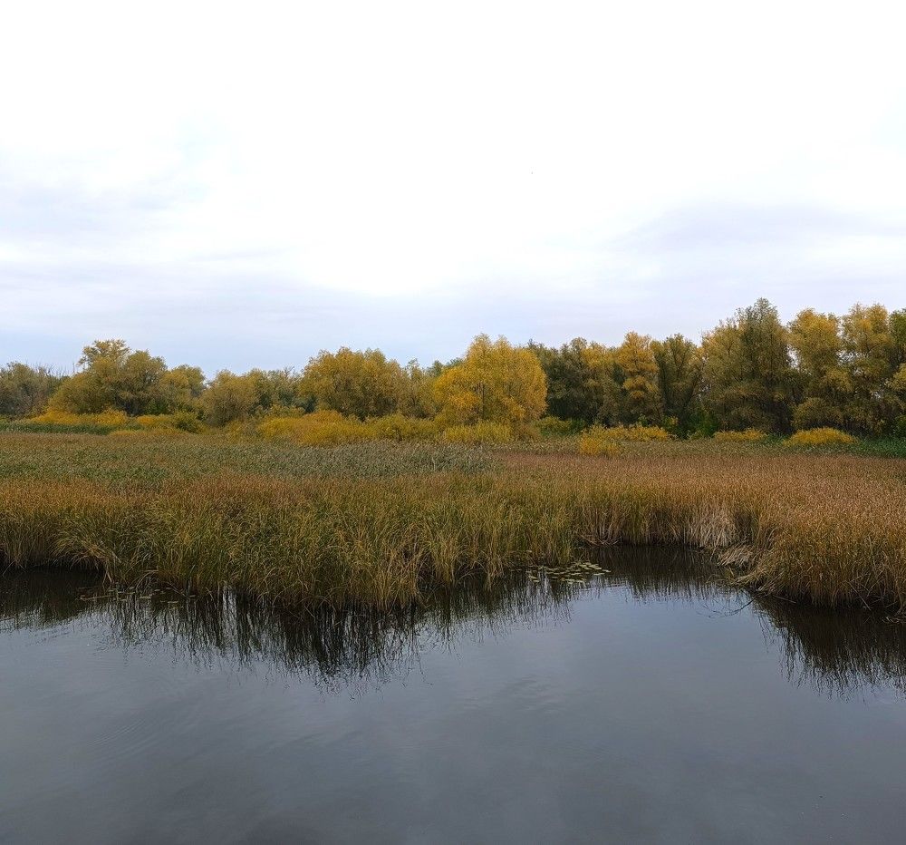 Фотография автора Елена Александрова