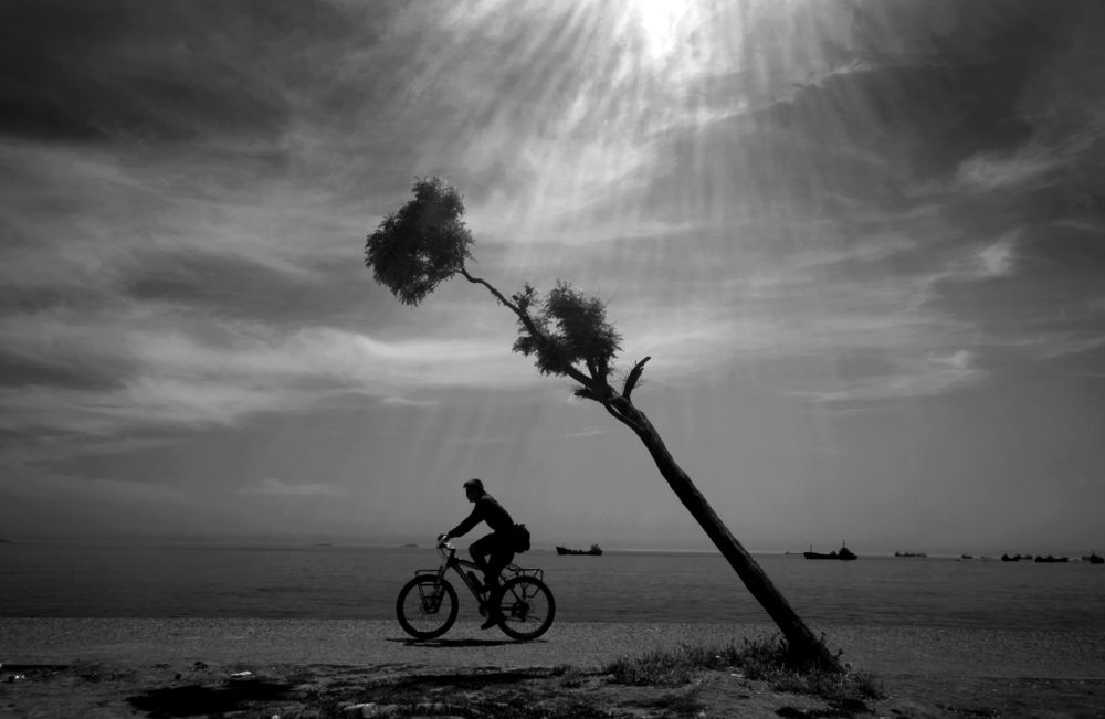 Фотография автора Ghadir Vaghari