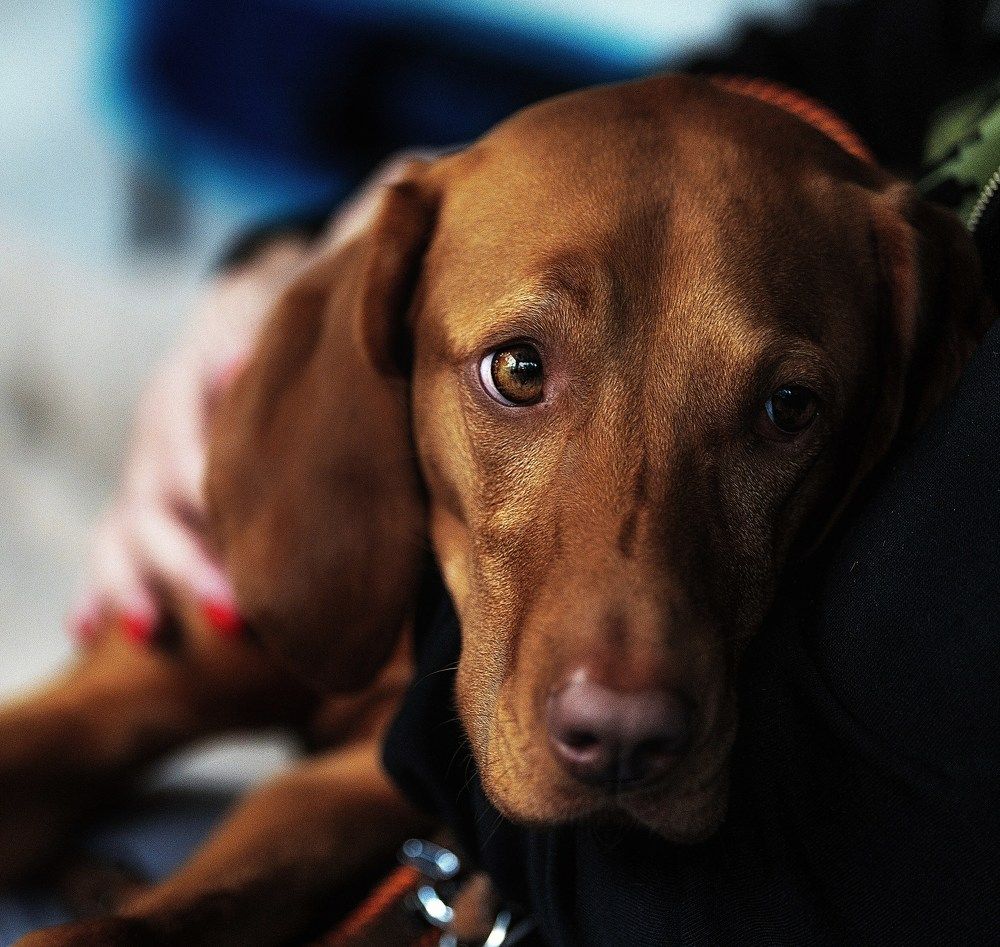 Фотография автора Lukin Igor