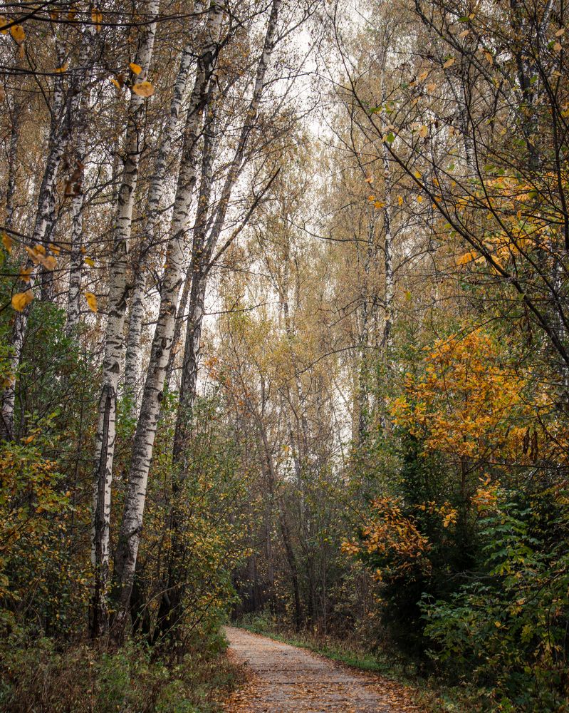 Photograph by Mikhail