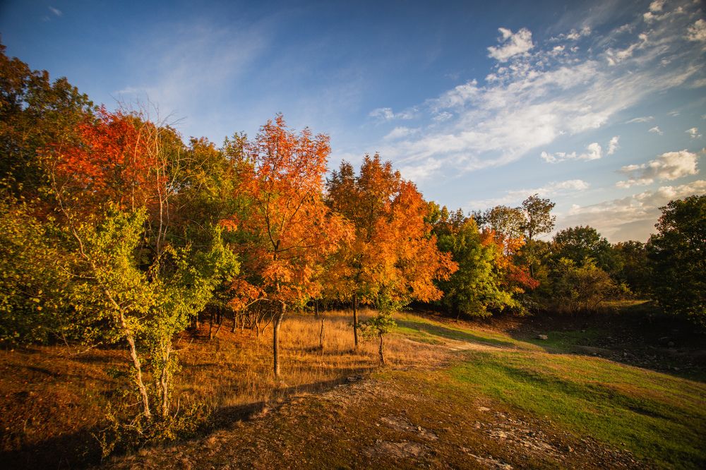 Photograph by Филипп Бабенко