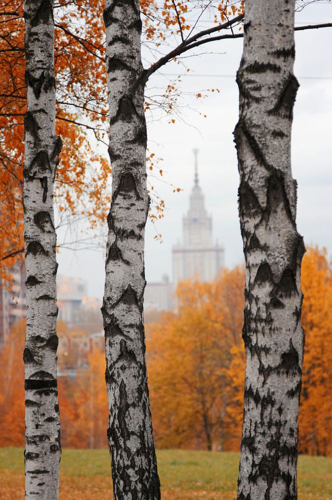 Photograph by Серова Мария