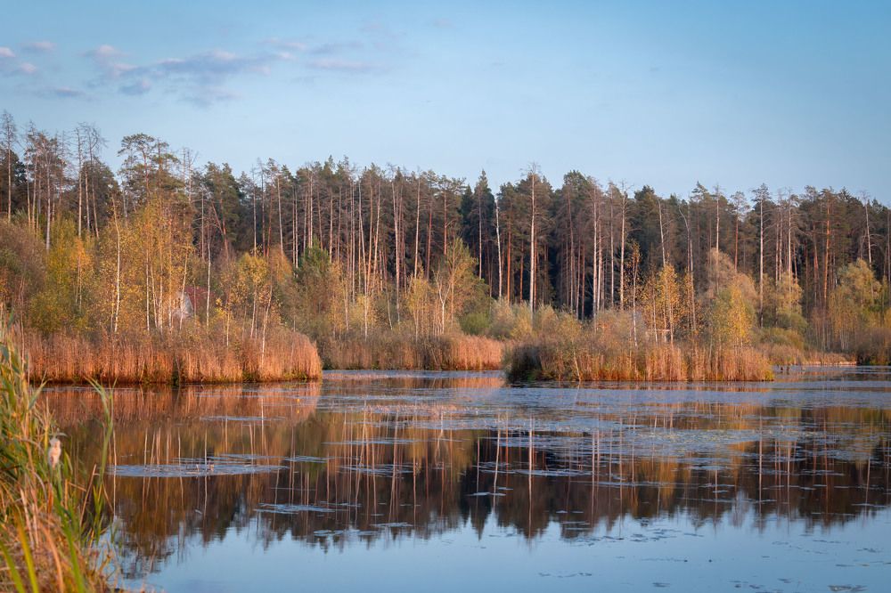 Photograph by Олег Дорошенко