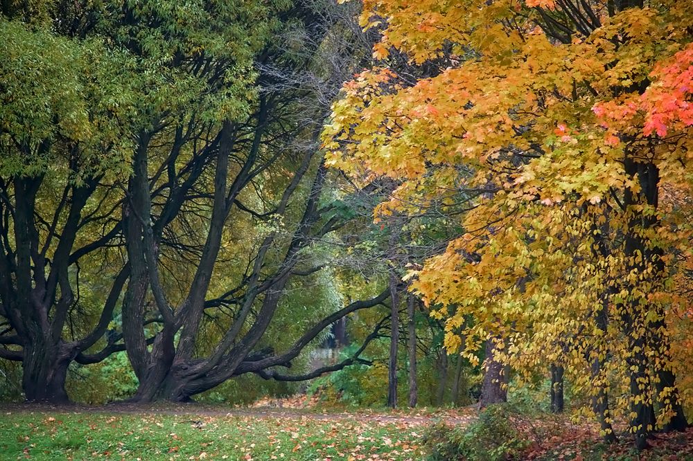 Photograph by Смирнов Алексей