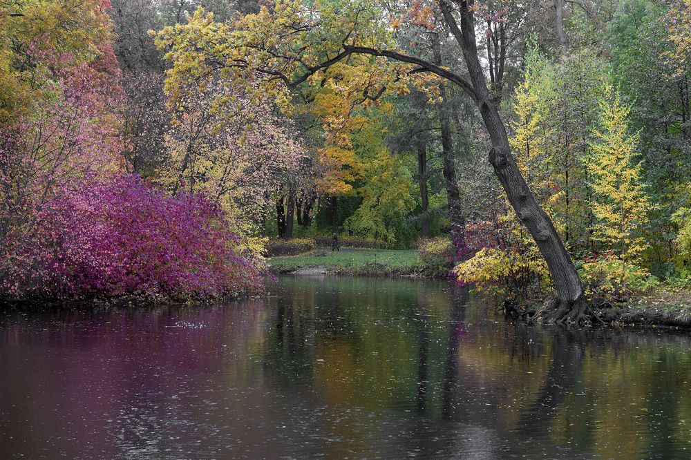 Photograph by Смирнов Алексей