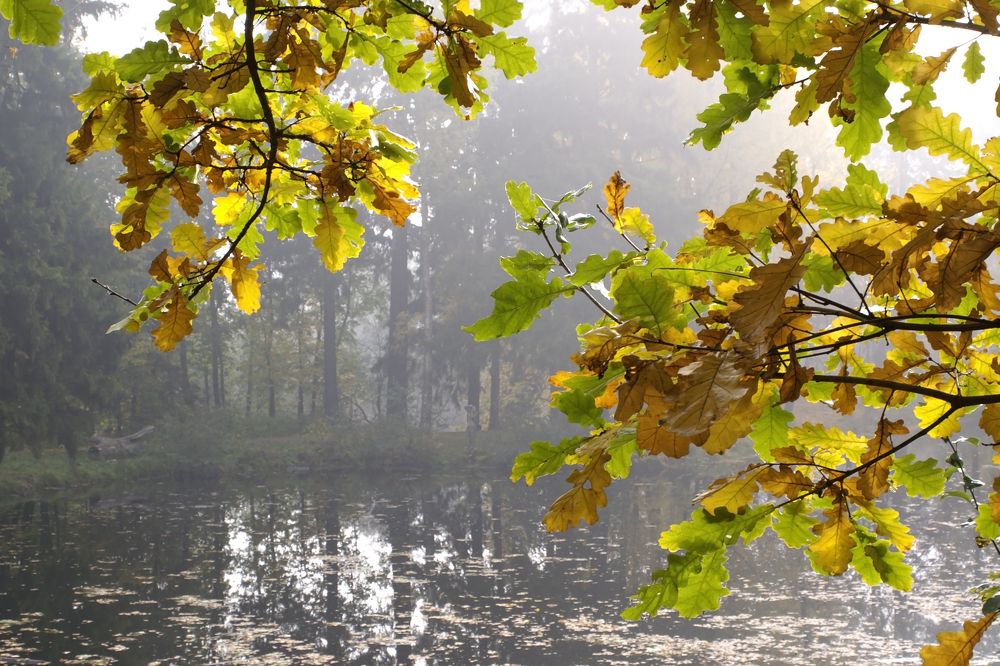 Photograph by Смирнов Алексей