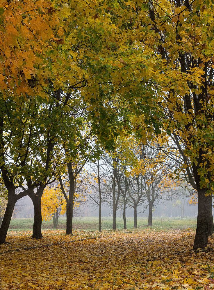 Фотография автора Борис Журавлёв