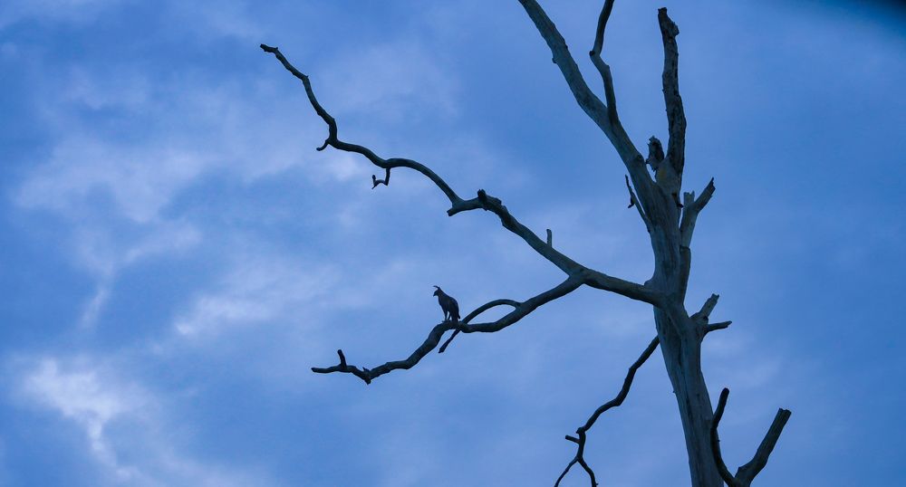 Photograph by SARAVANA MANICKAM