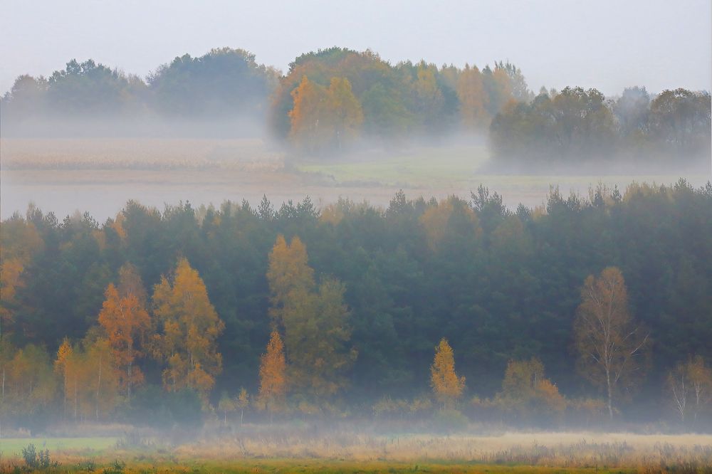 Photograph by Николай Протасеня