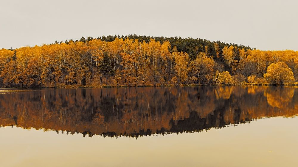 Photograph by Татьяна Пятернёва