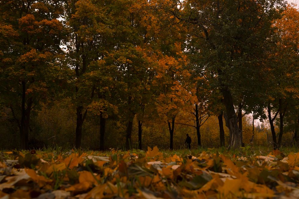 Photograph by Полина Лапкина