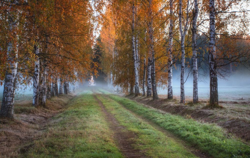 Photograph by Щепотина Татьяна