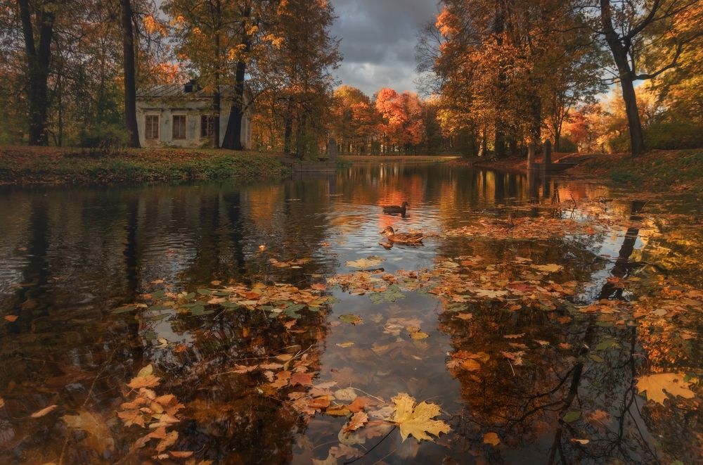 Photograph by Щепотина Татьяна