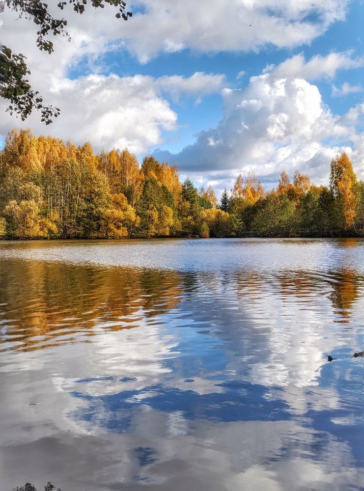 Photograph by Владимир Шаруба