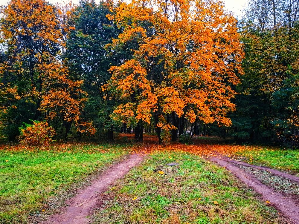 Photograph by Денис Прохоров