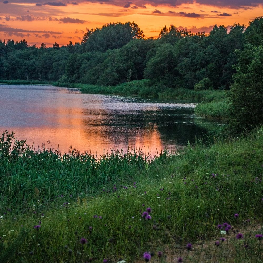 Фотография автора Иван Комаров