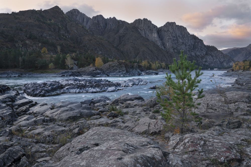 Фотография автора Галина