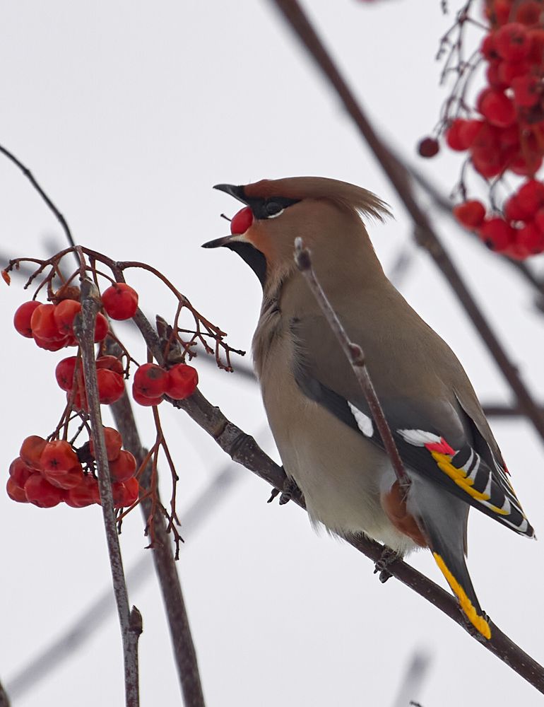 Photograph by Алексей Енин (AlEn)