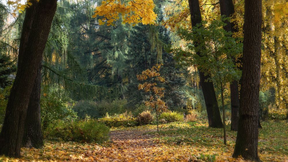 Photograph by Олег Зевиг