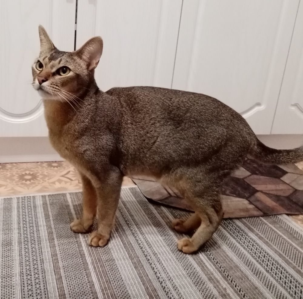 Photograph by Елена Сухорученкова