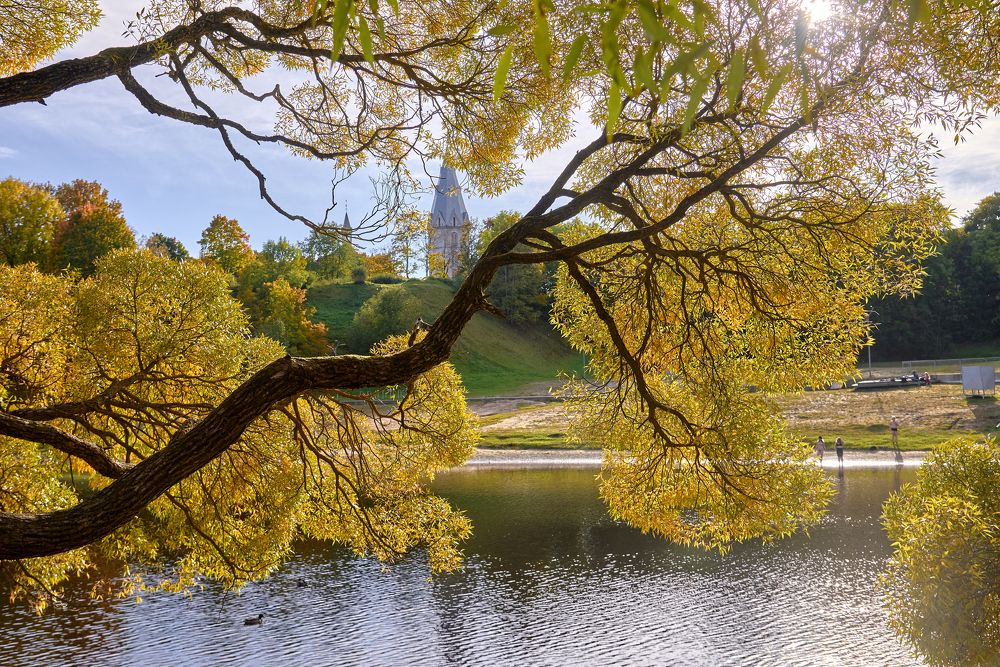 Photograph by Alla Matrosova