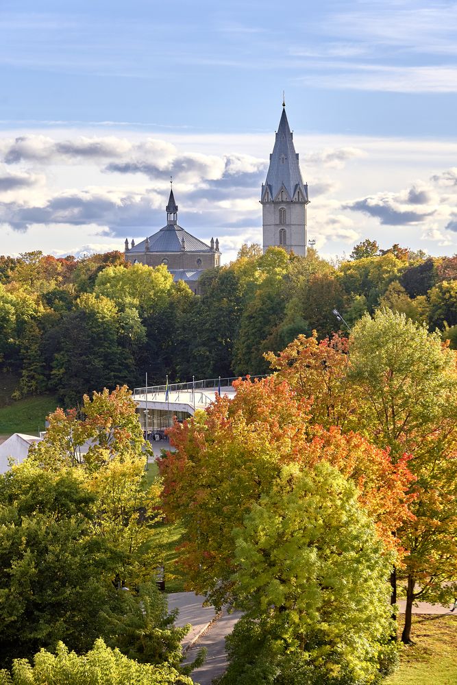 Photograph by Alla Matrosova