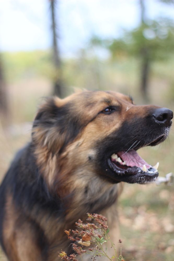 Photograph by Наталья Рыкова