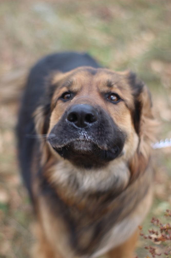 Photograph by Наталья Рыкова