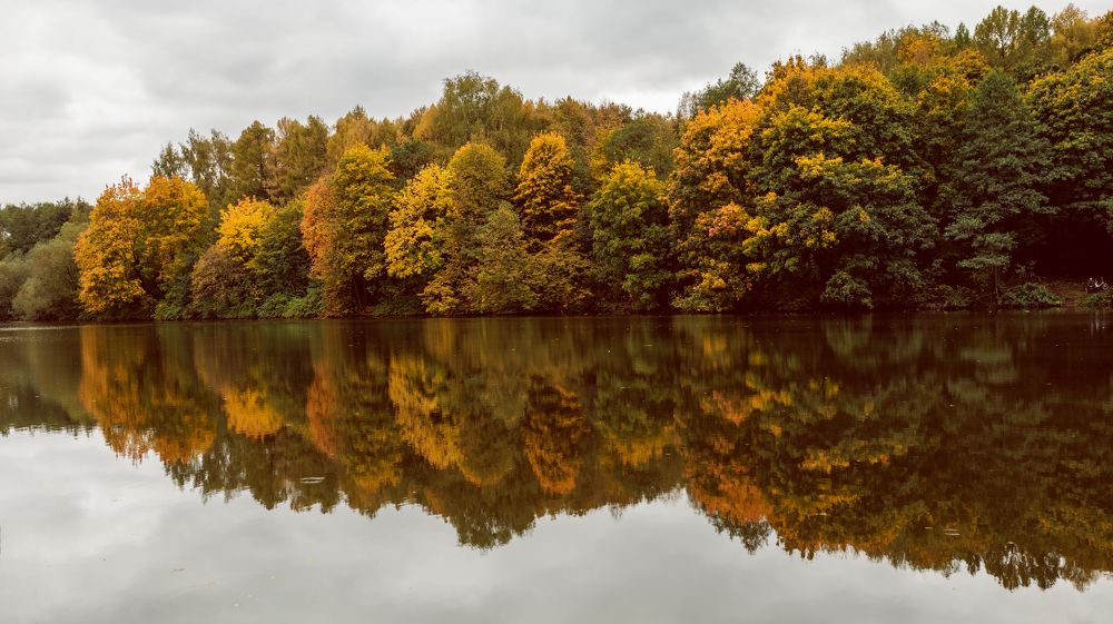 Желтый пруд, Балашиха, район Салтыковка