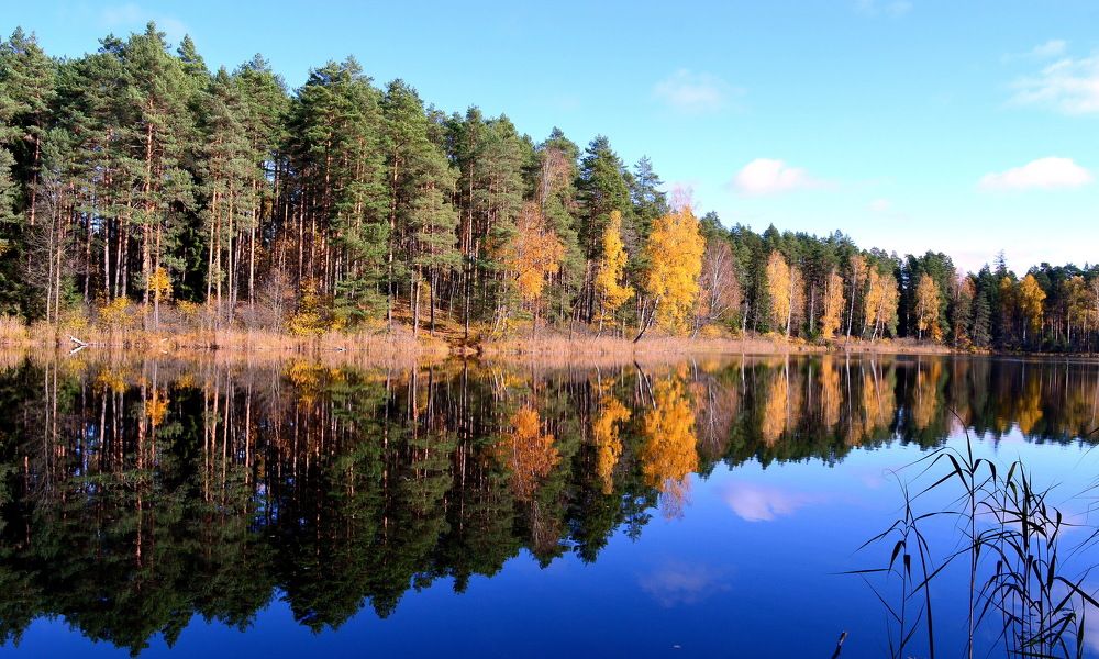 Photograph by Москалев Андрей