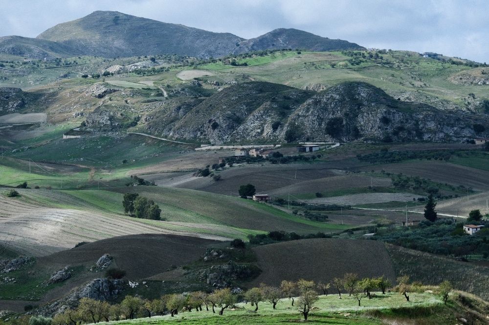 Photograph by Дмитрий