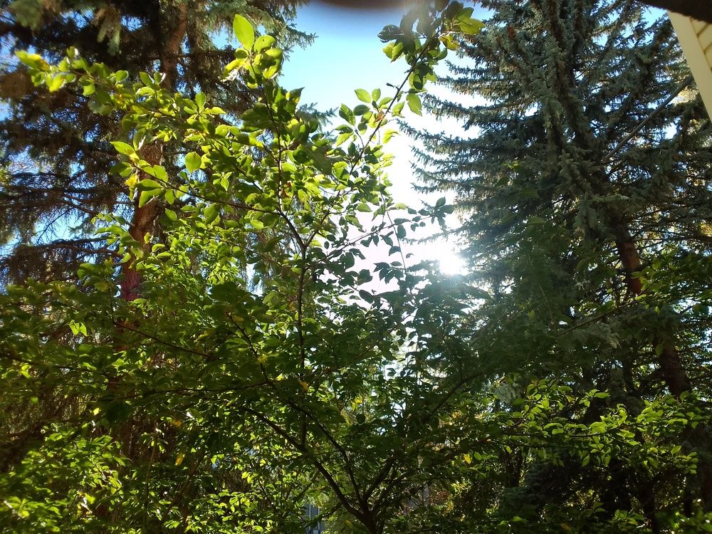 Photograph by Армида