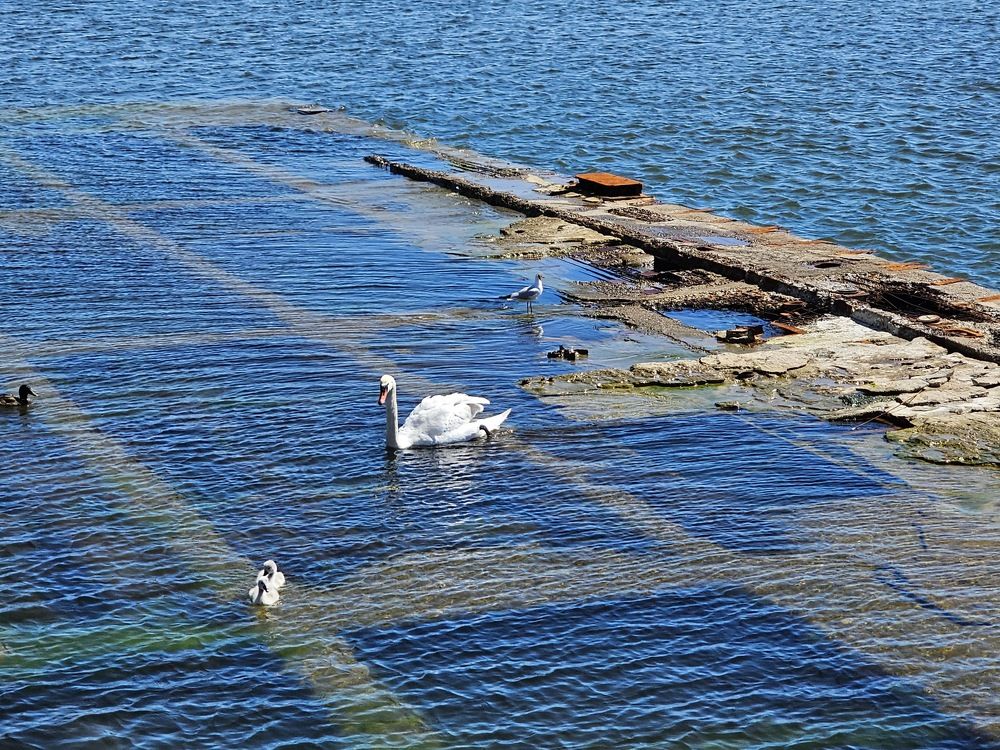 Photograph by Edmund Randal