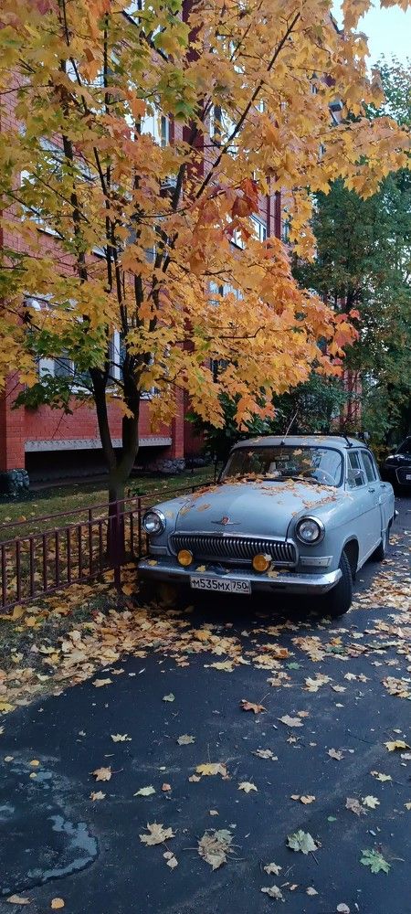 Фотография автора Дарья Петровская