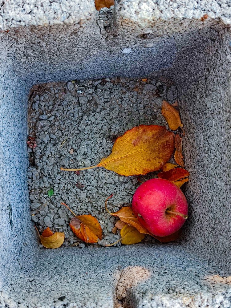 Photograph by فاطمه فرامرزی