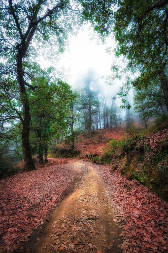 Photograph by Fehd Ghammit