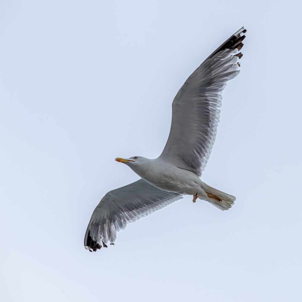 Фотография автора Minja Jovetic