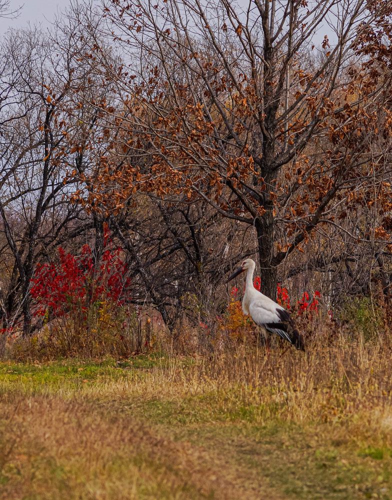 Photograph by Виктор Сёмушкин