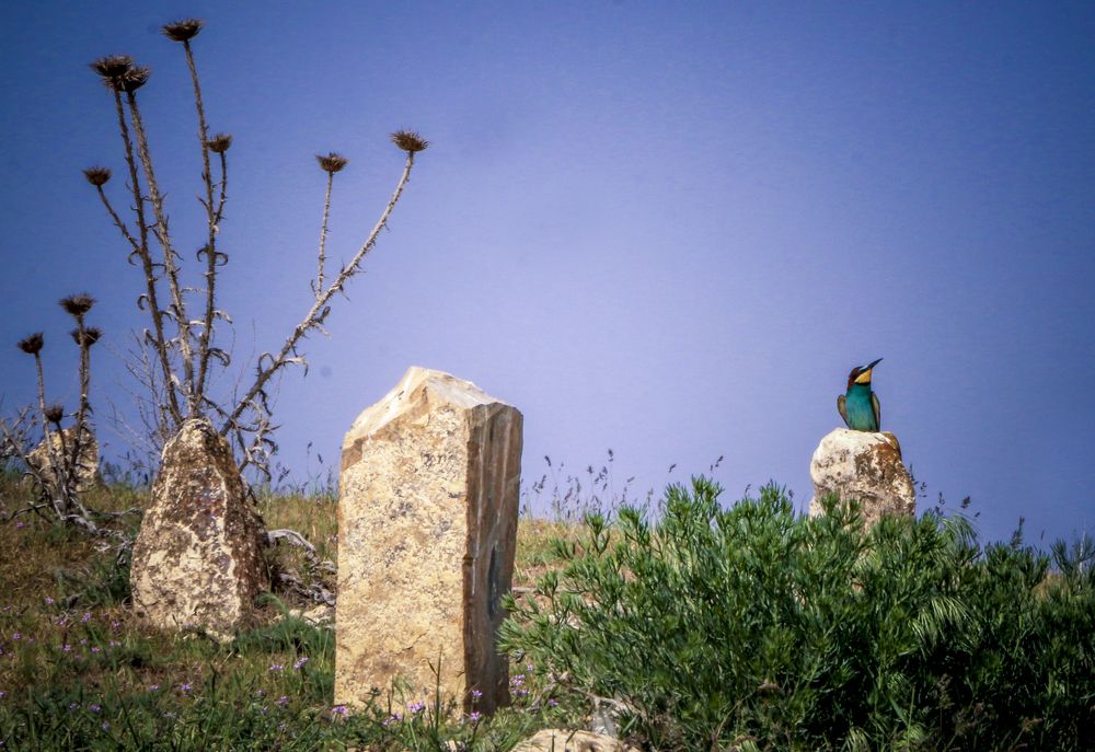 Фотография автора Ghadir Vaghari