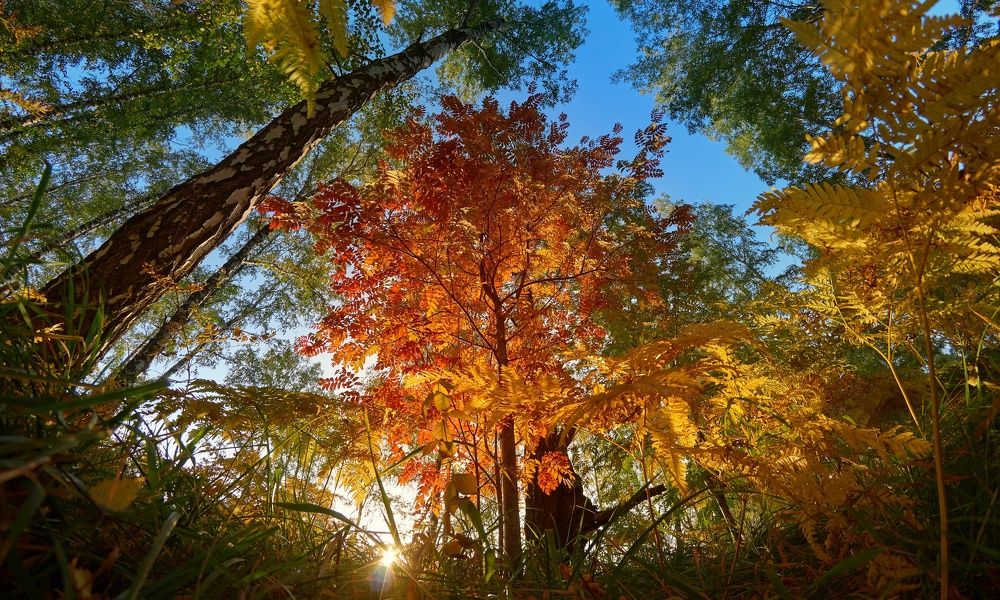Вечерний ракурс
