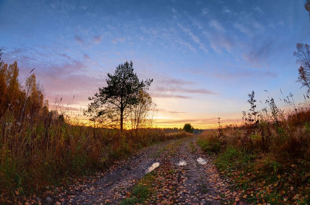 Дорога сентября