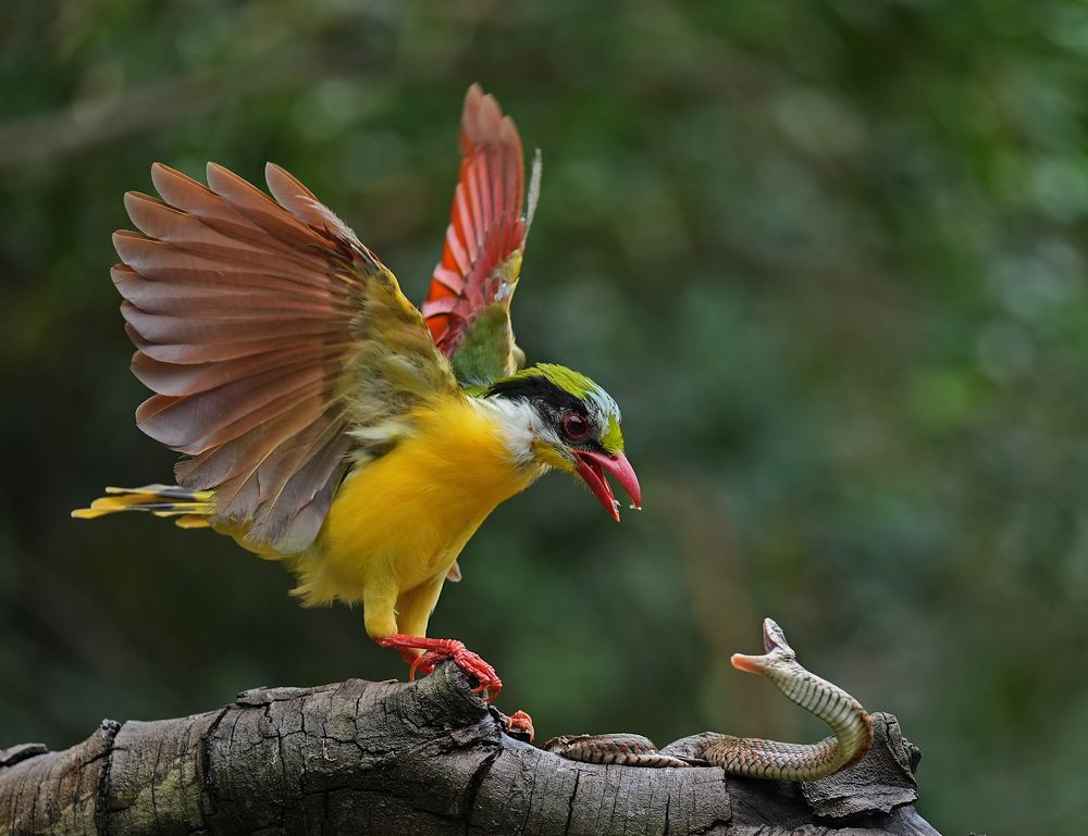 Photograph by Kan Chung Wong