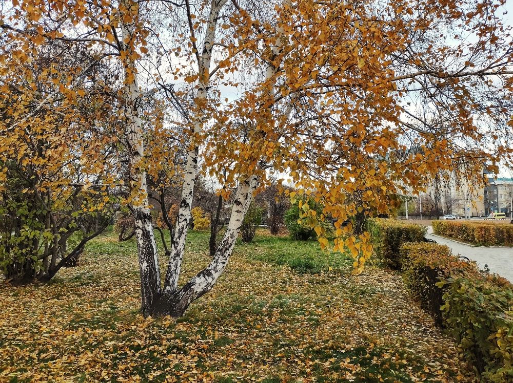 Photograph by Оксана Лоншакова