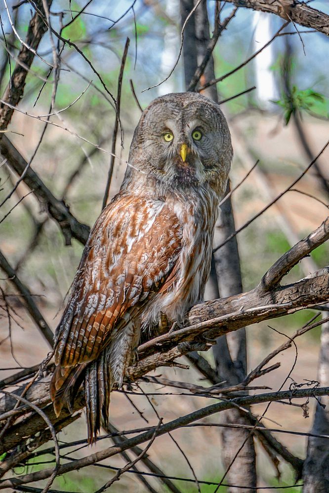 Photograph by Александр Шипиленко