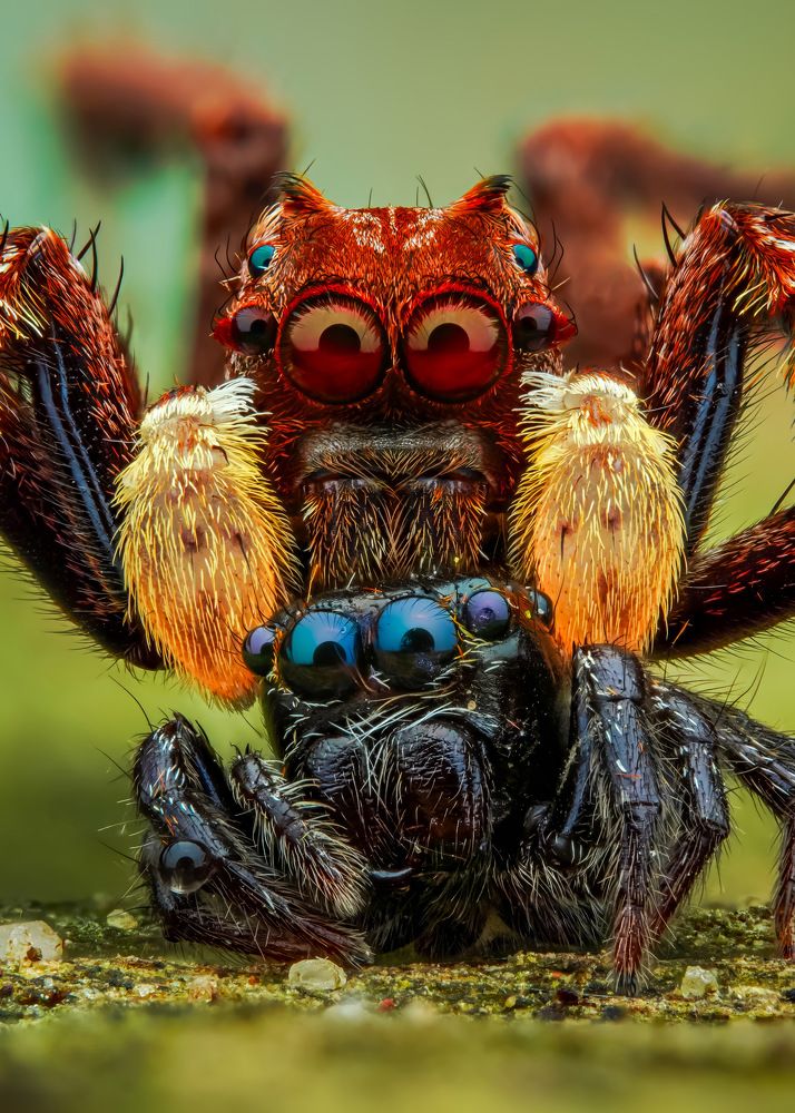 Photograph by Tran The Ngoc